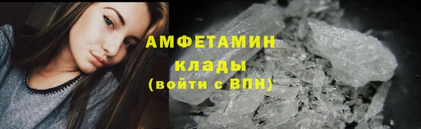 дурь Бородино
