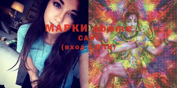 дурь Бородино